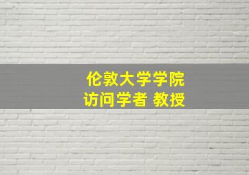 伦敦大学学院访问学者 教授